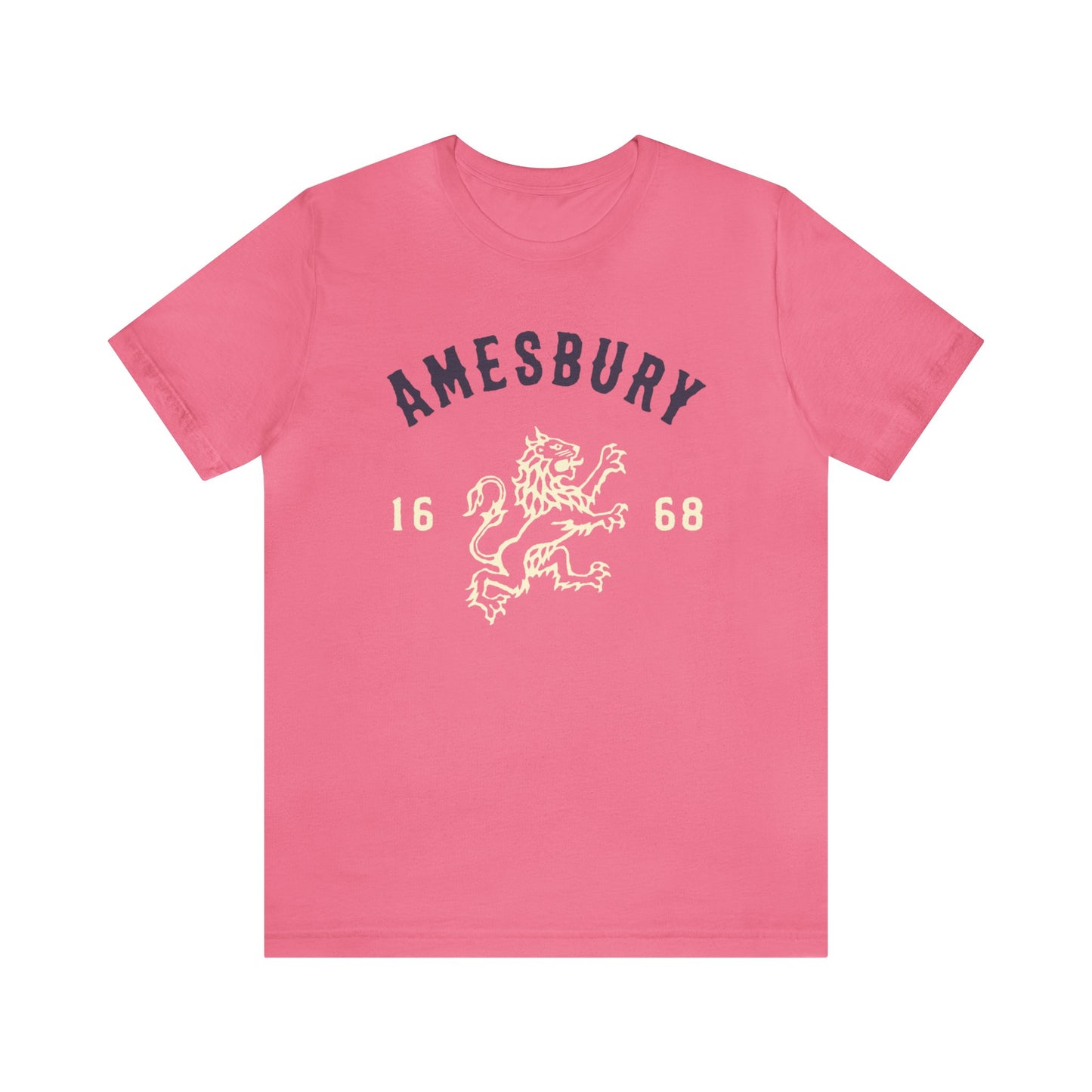 AMESBURY LION // T-Shirt