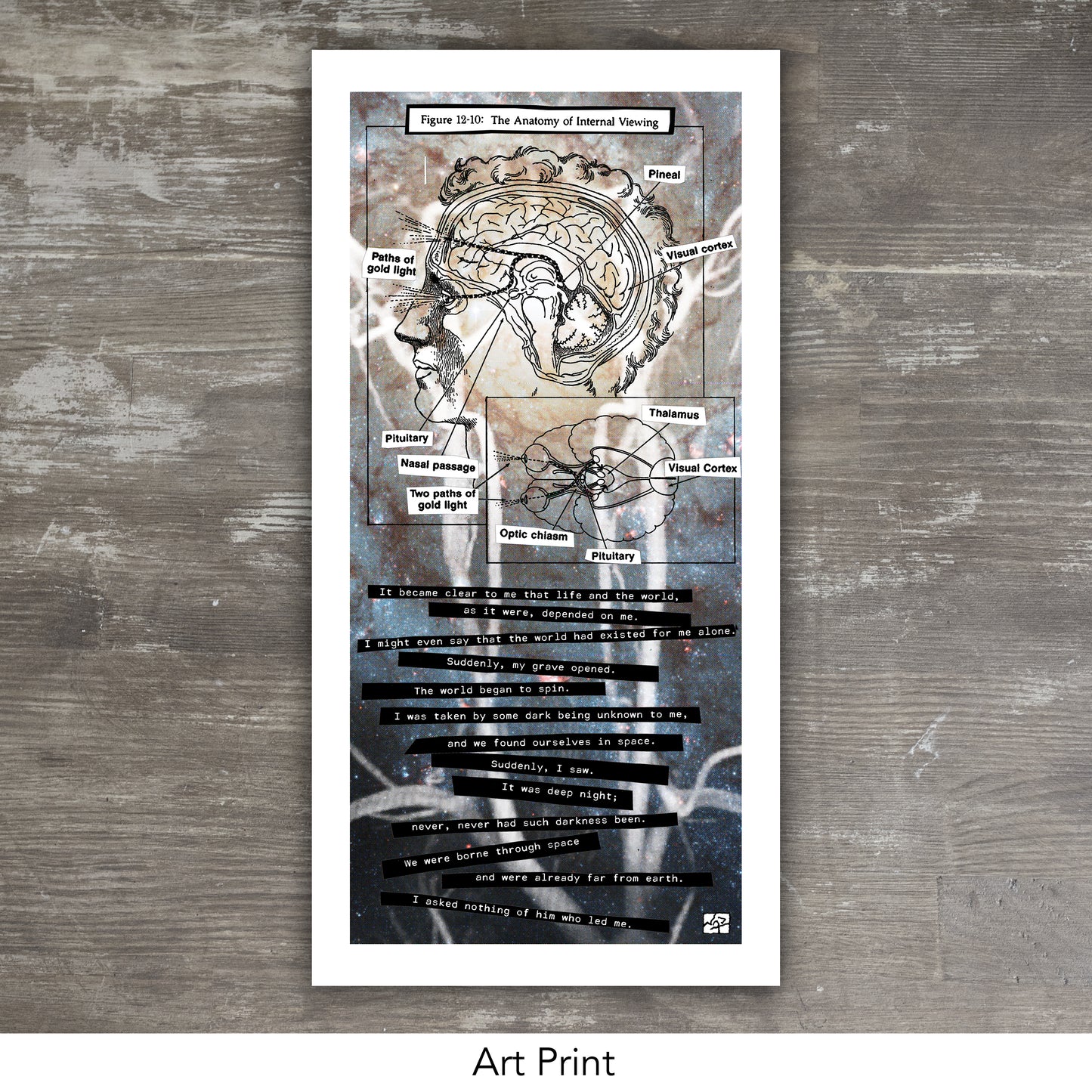 ANATOMY OF INTERNAL VIEWING // Mixed Media