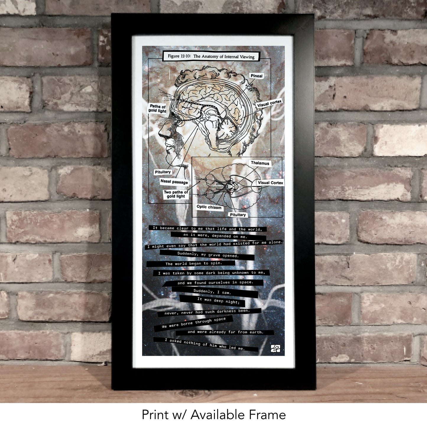 ANATOMY OF INTERNAL VIEWING // Mixed Media