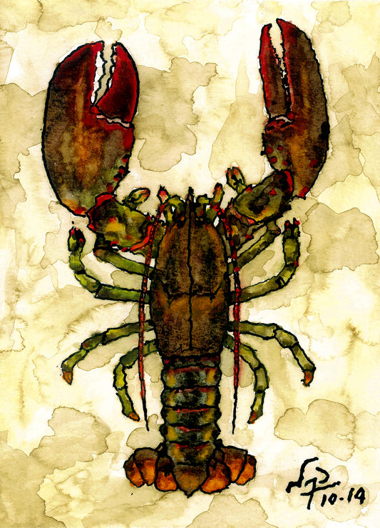 LOBSTER // Ink & Watercolor