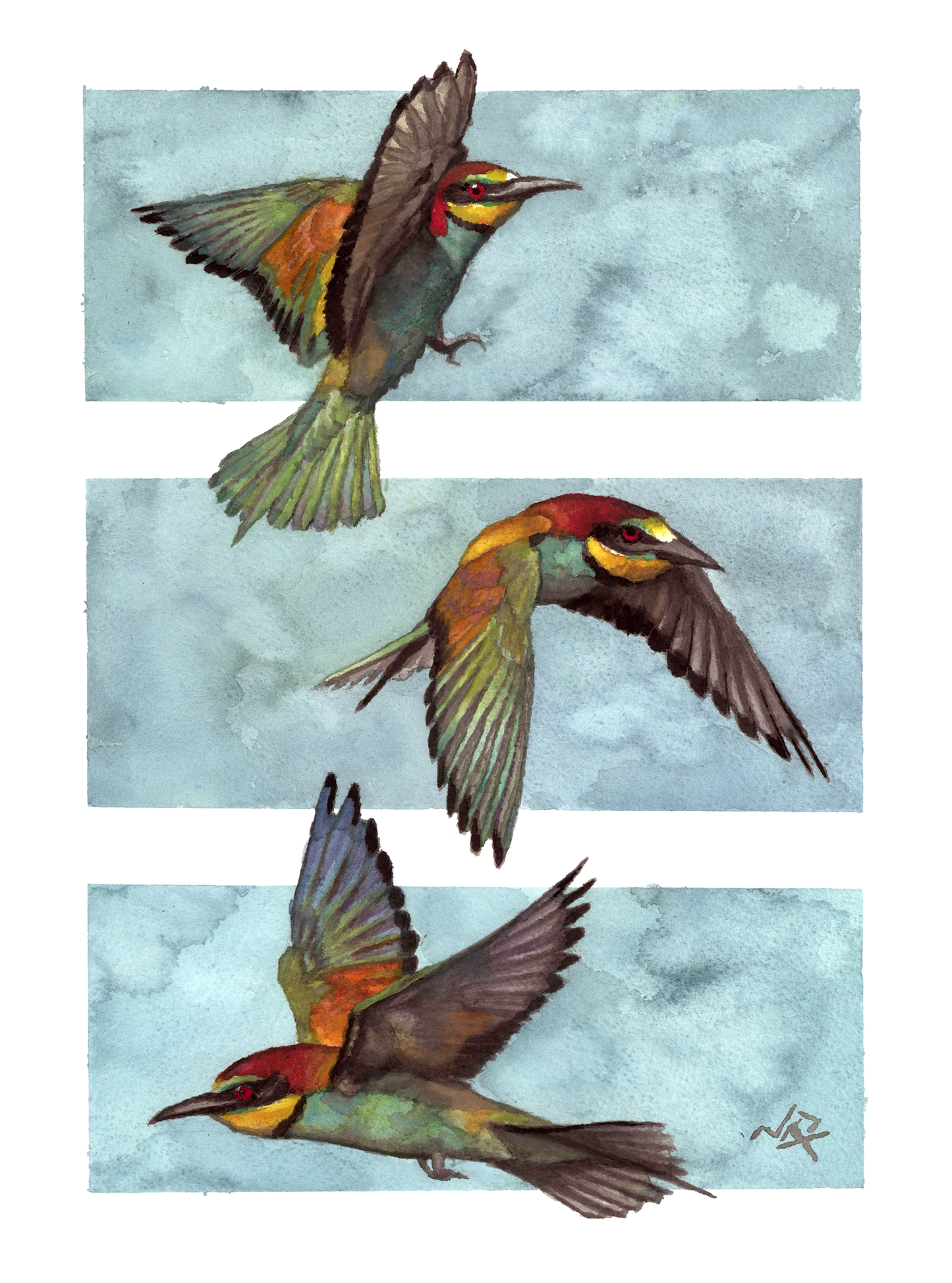 THREE BIRDS // Gouache