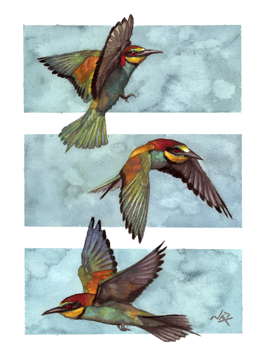 THREE BIRDS // Gouache