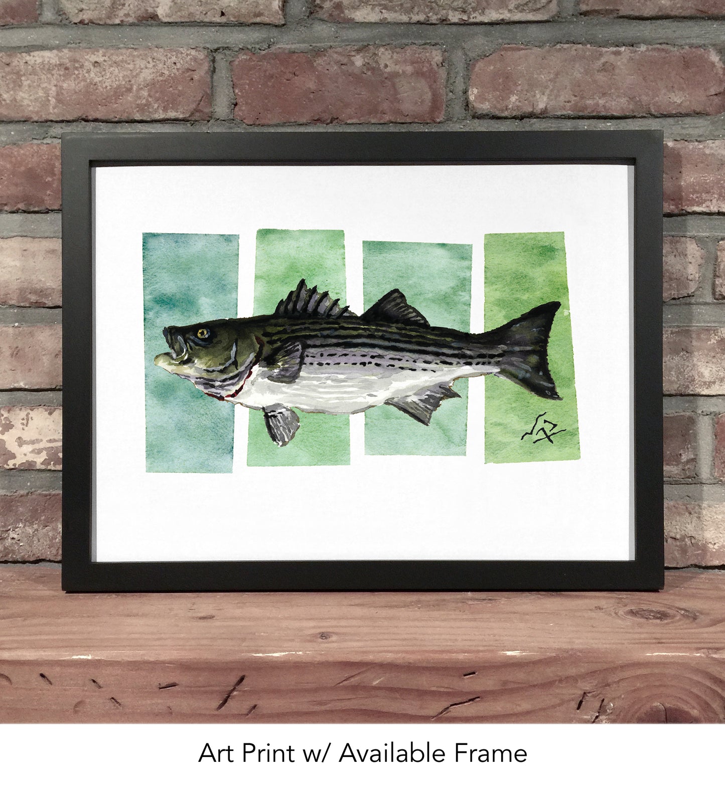 STRIPED BASS // Watercolor