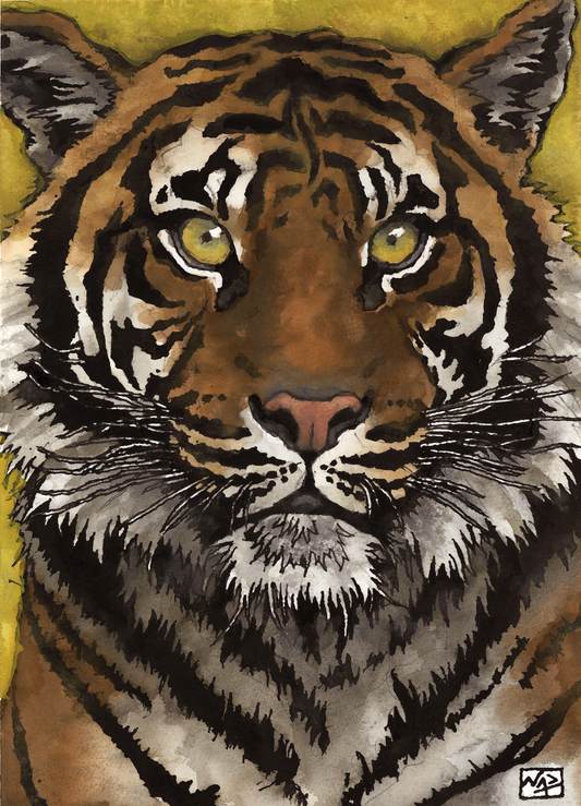 TIGER // Ink and Gouache