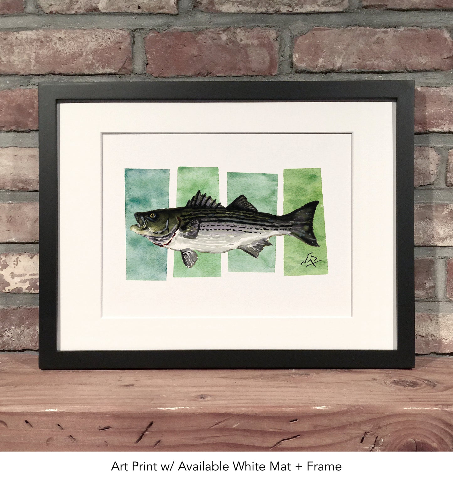 STRIPED BASS // Watercolor