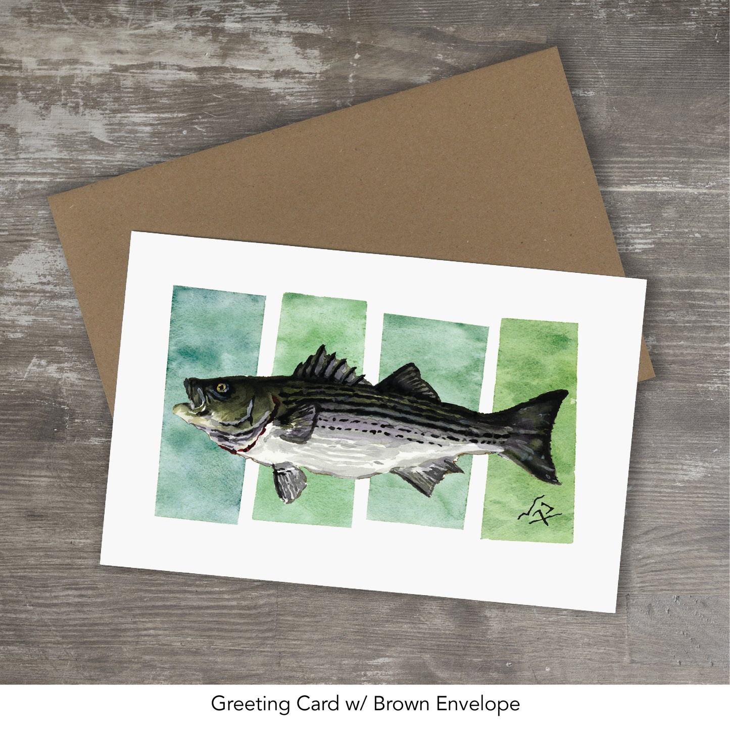 STRIPED BASS // Watercolor