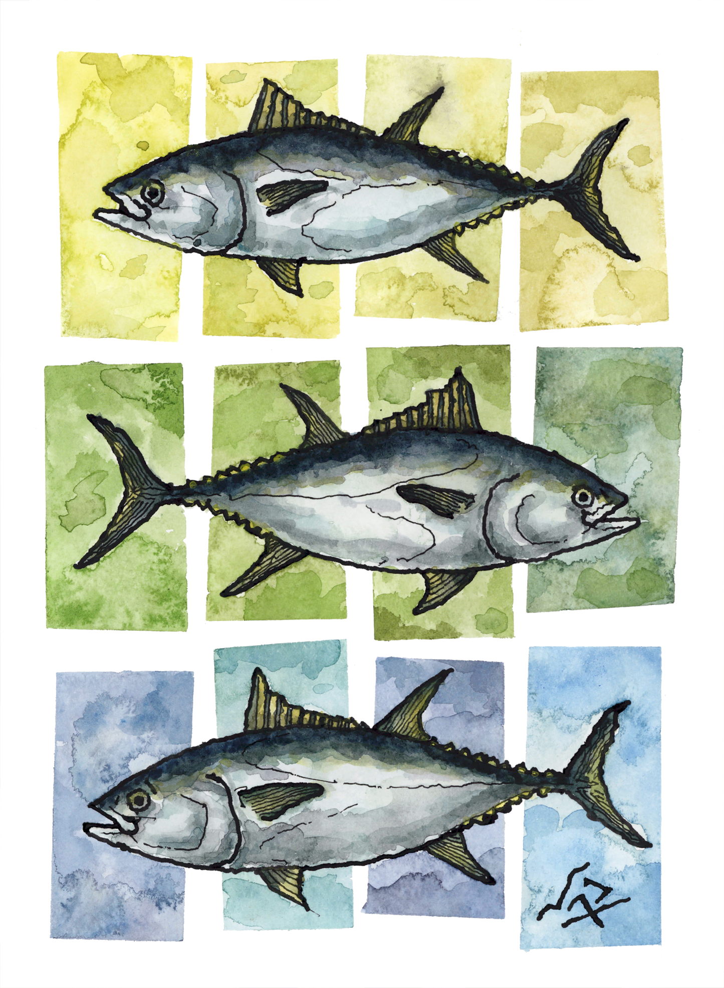 TUNA SQUARES // Ink & Watercolor