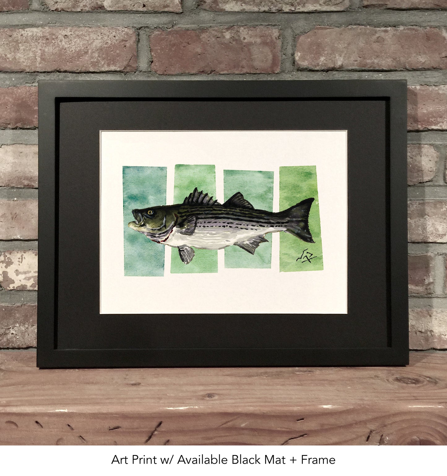 STRIPED BASS // Watercolor