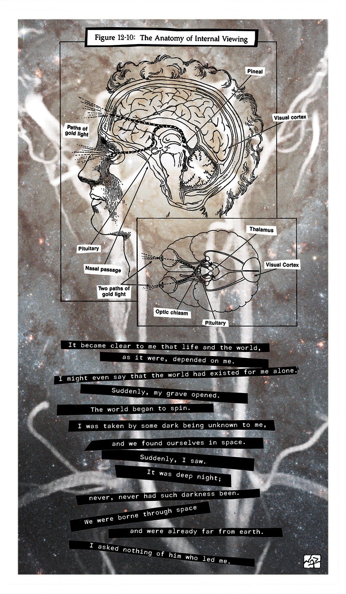 ANATOMY OF INTERNAL VIEWING // Mixed Media