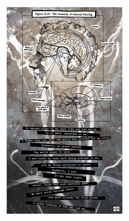 ANATOMY OF INTERNAL VIEWING // Mixed Media