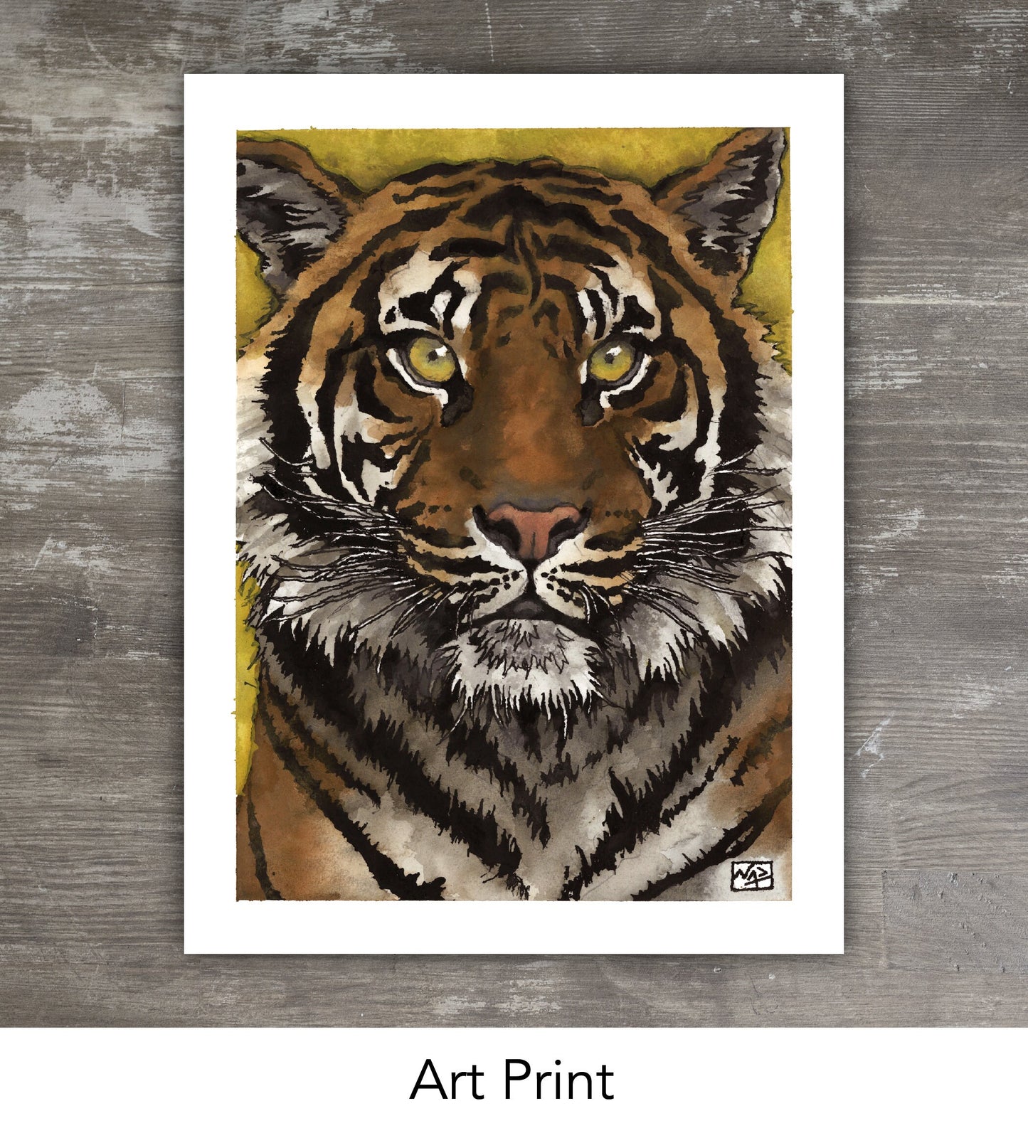 TIGER // Ink and Gouache