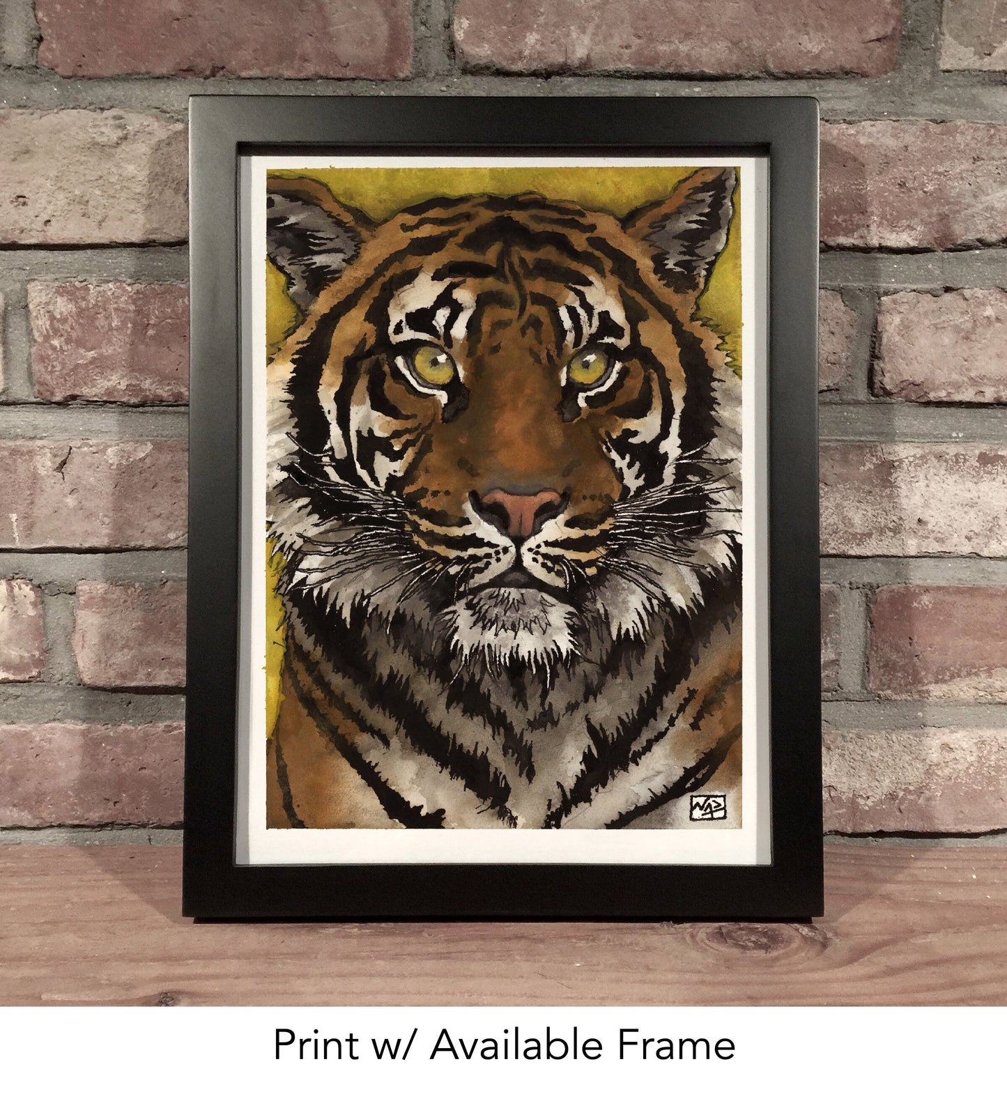 TIGER // Ink and Gouache