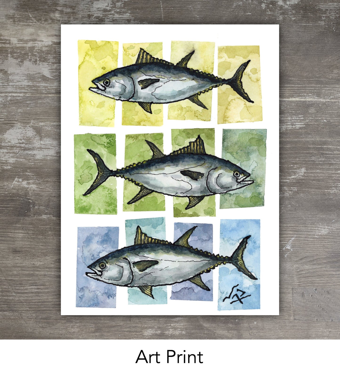 TUNA SQUARES // Ink & Watercolor