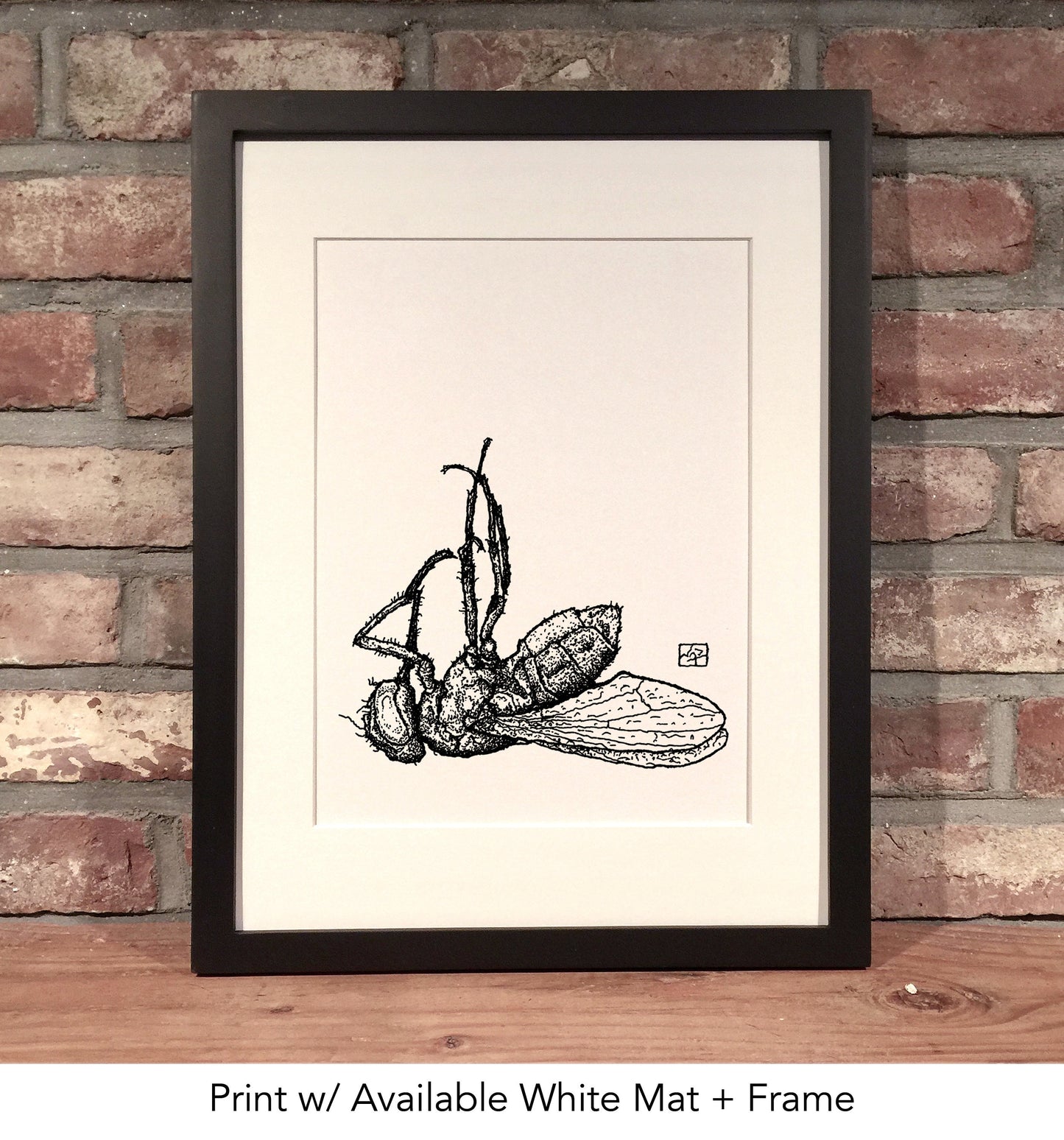 DEAD FLY // Pen and Ink