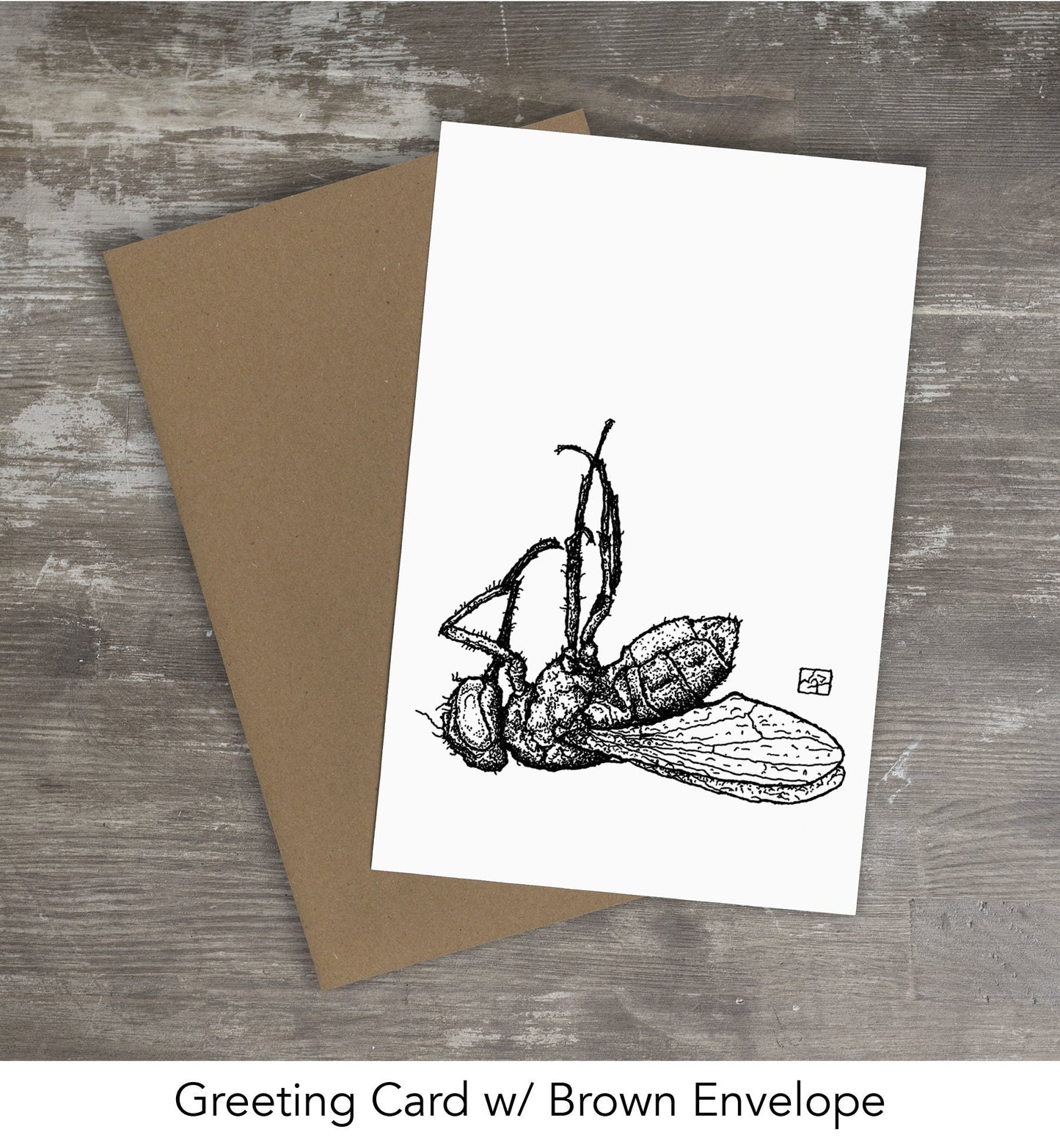 DEAD FLY // Pen and Ink