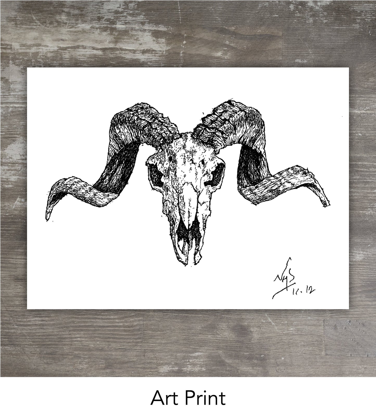 RAM SKULL // Pen & Ink