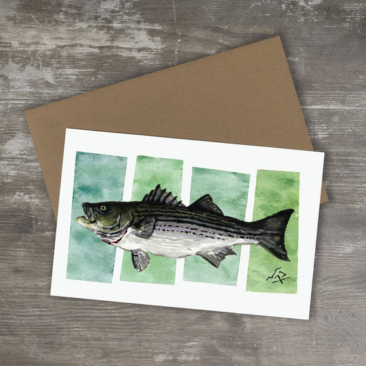 Greeting Card // STRIPED BASS