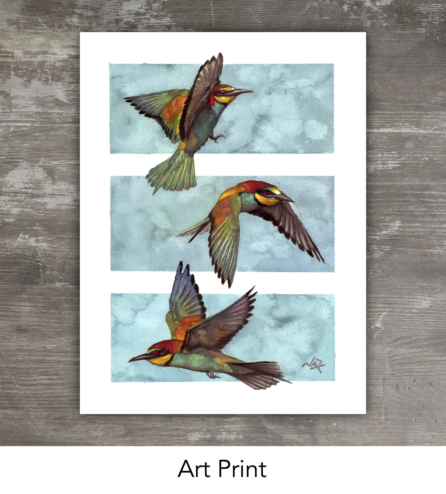 THREE BIRDS // Gouache