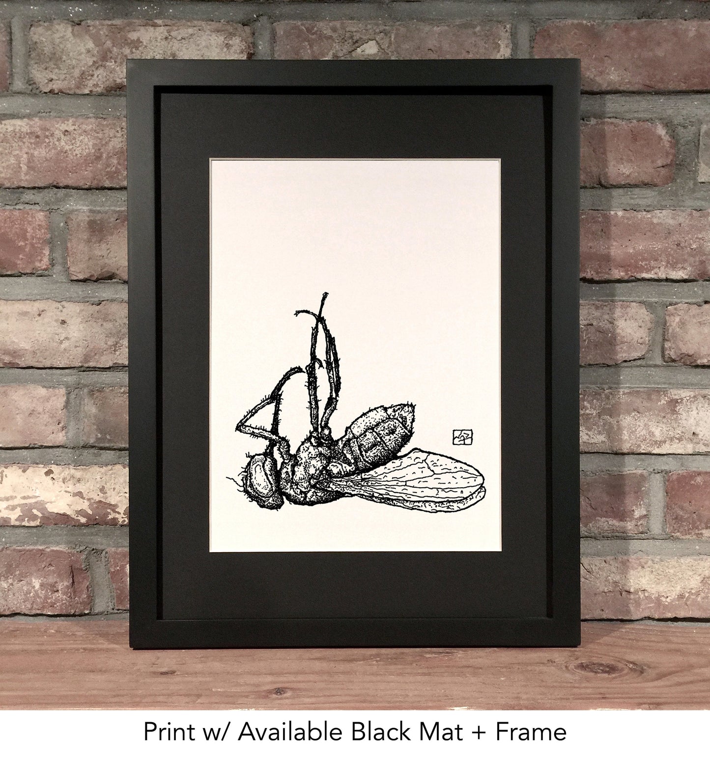 DEAD FLY // Pen and Ink