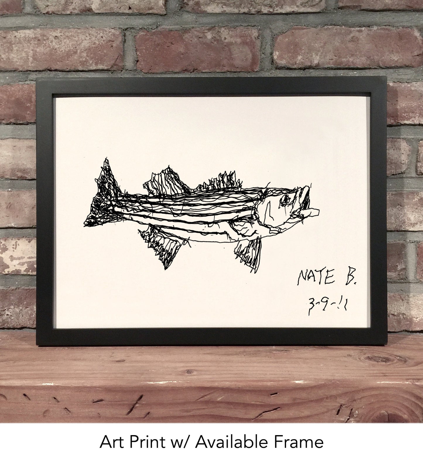 STRIPED BASS // Pen & Ink