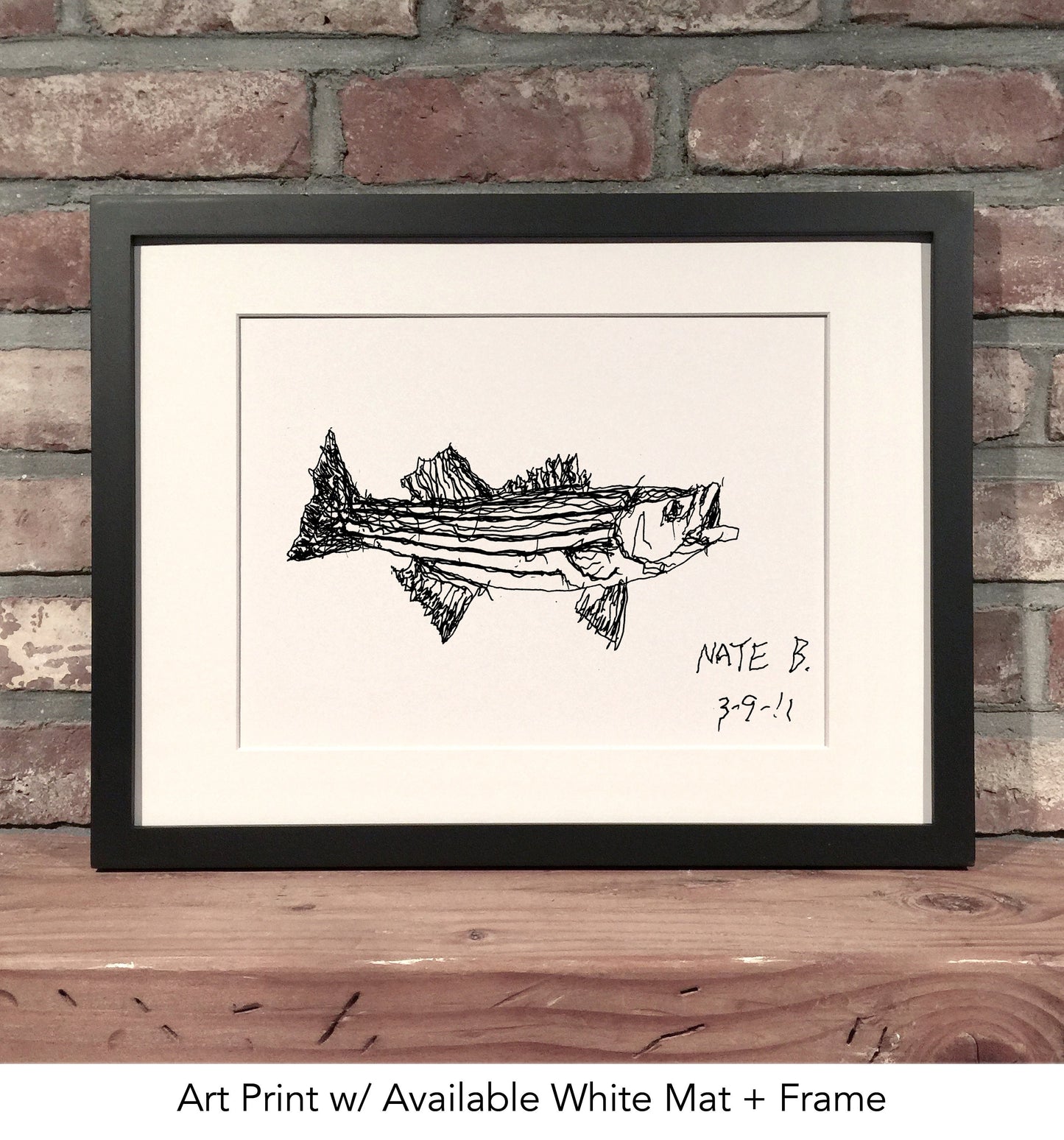 STRIPED BASS // Pen & Ink