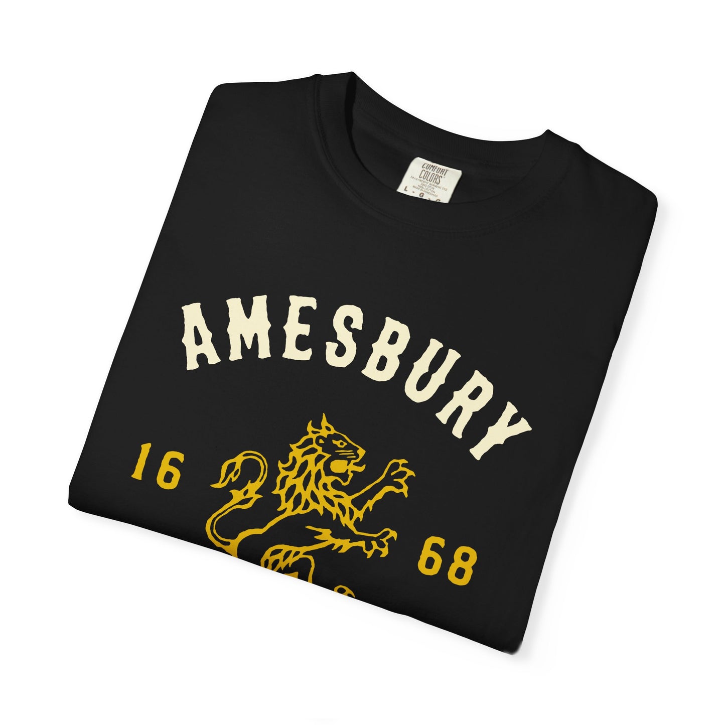 AMESBURY LION // T-Shirt