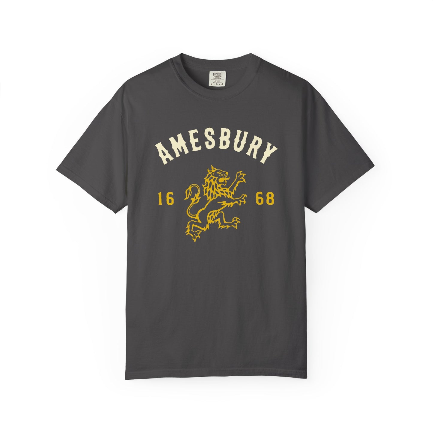 AMESBURY LION // T-Shirt
