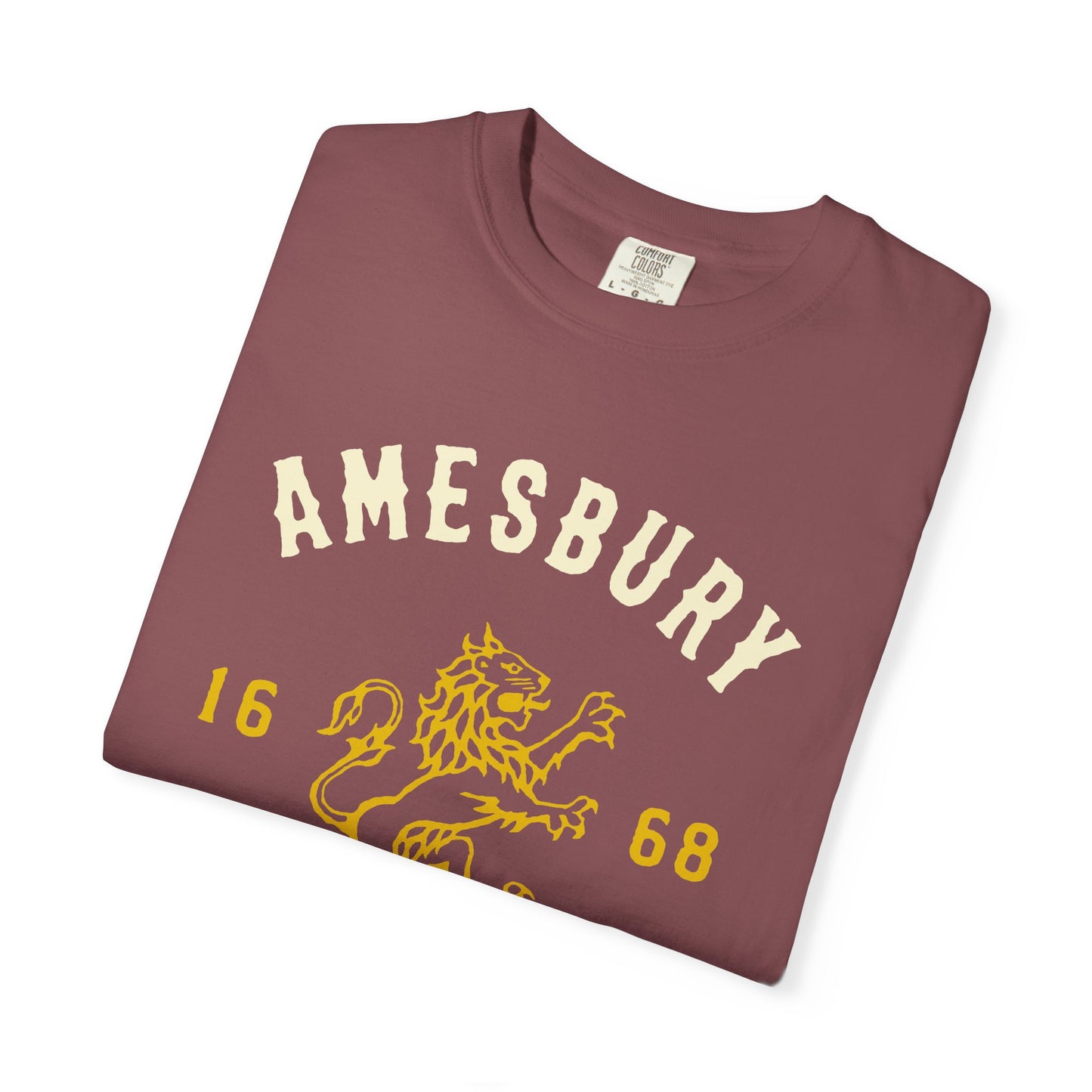 AMESBURY LION // T-Shirt