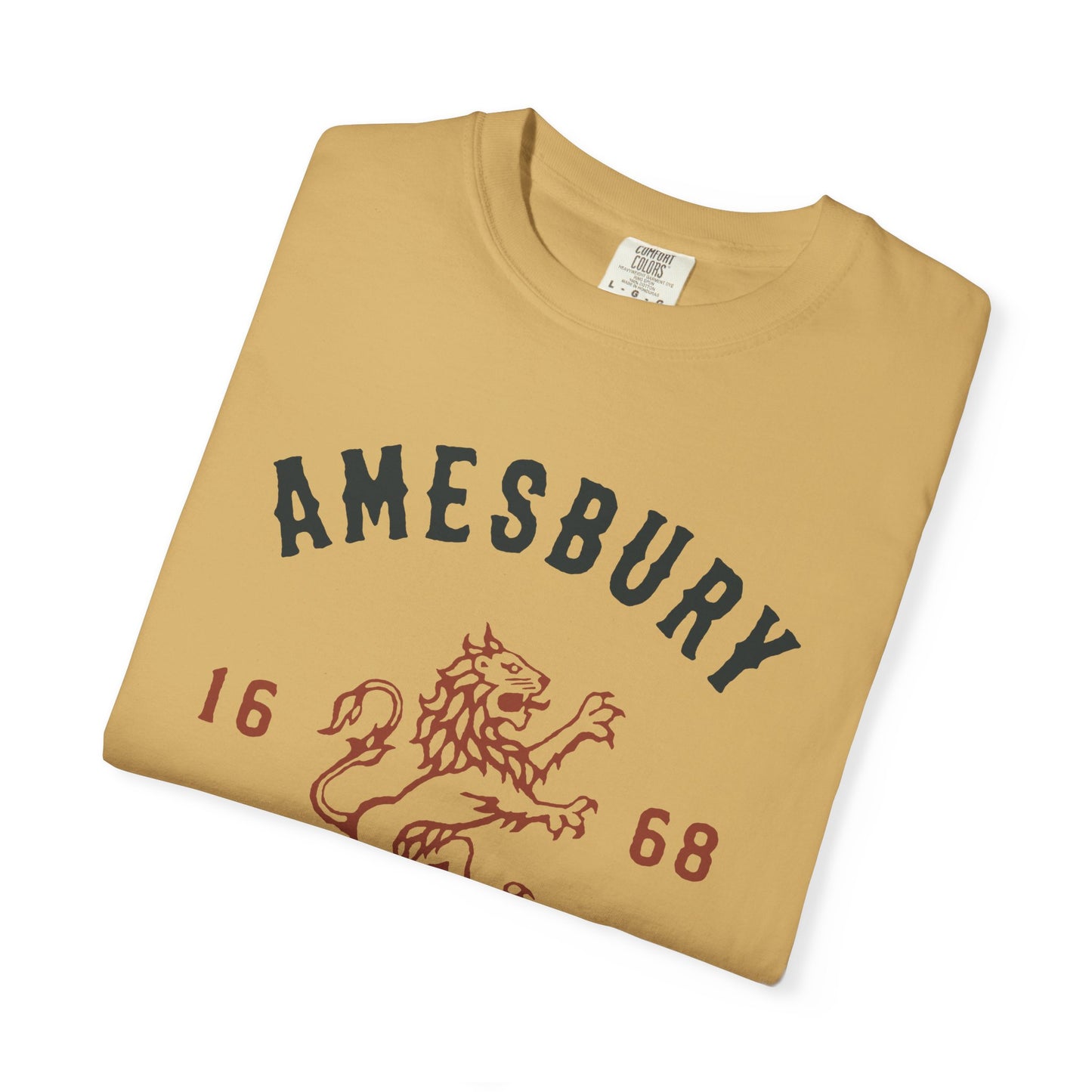 AMESBURY LION // T-Shirt