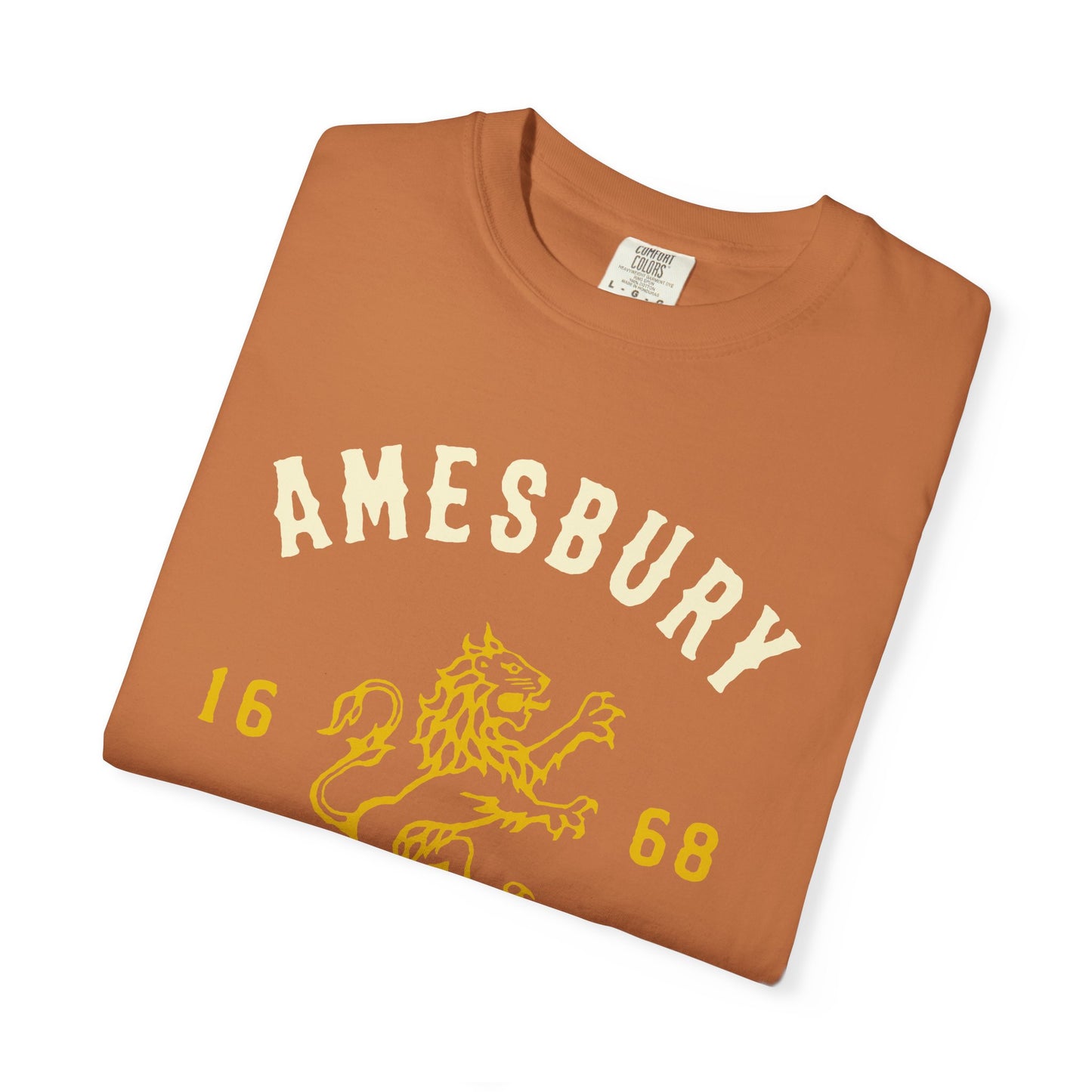 AMESBURY LION // T-Shirt