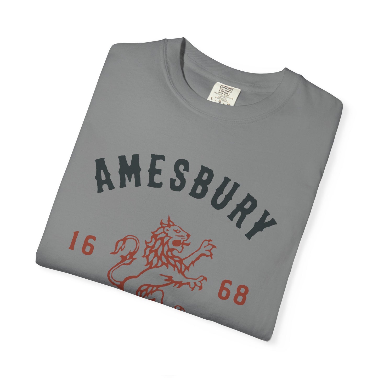 AMESBURY LION // T-Shirt