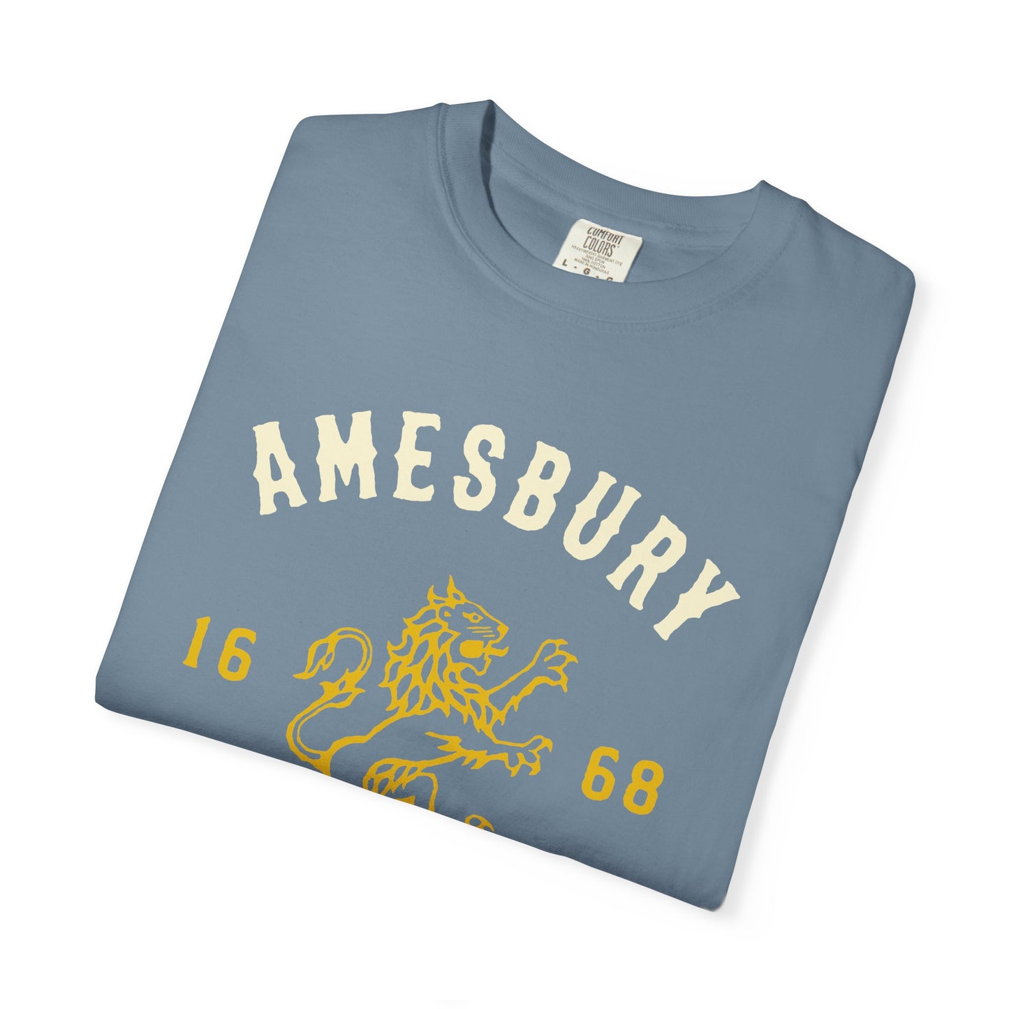 AMESBURY LION // T-Shirt