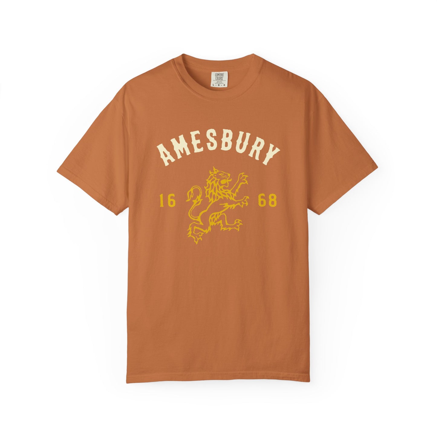 AMESBURY LION // T-Shirt
