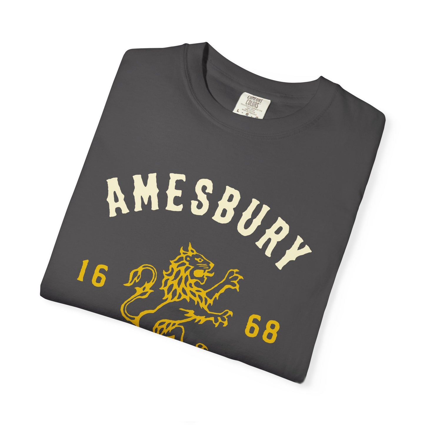 AMESBURY LION // T-Shirt