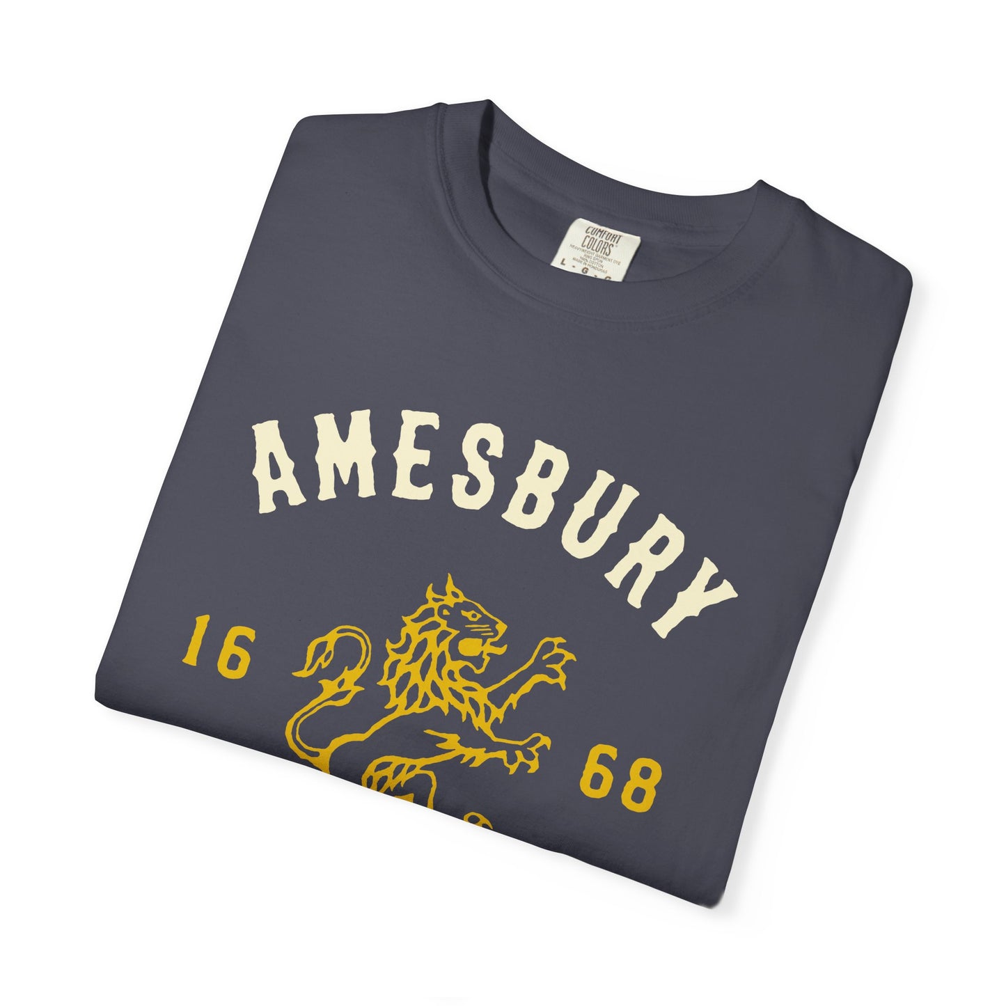 AMESBURY LION // T-Shirt