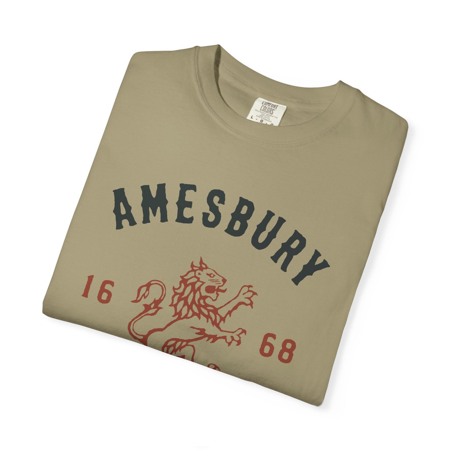 AMESBURY LION // T-Shirt