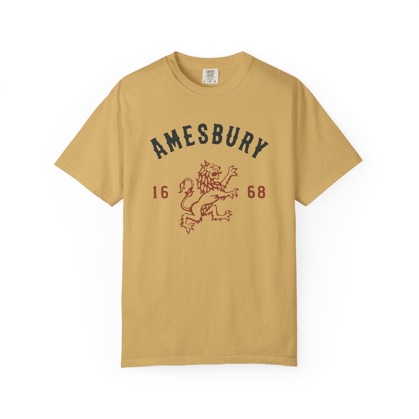 AMESBURY LION // T-Shirt