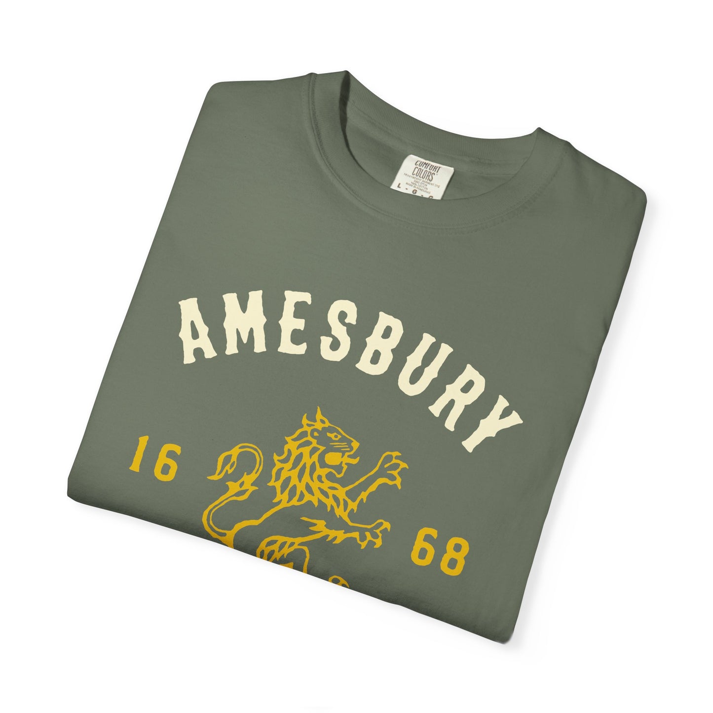 AMESBURY LION // T-Shirt