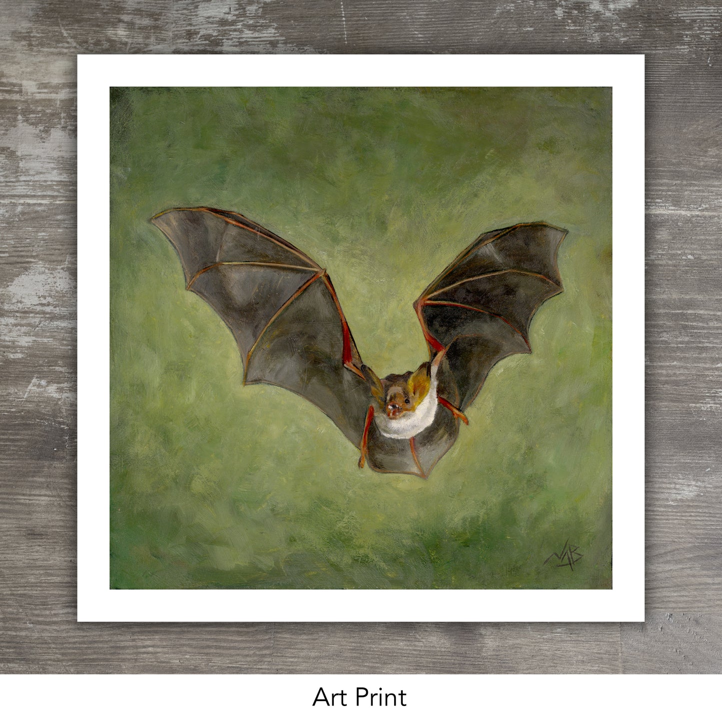 BAT // Oil Painting