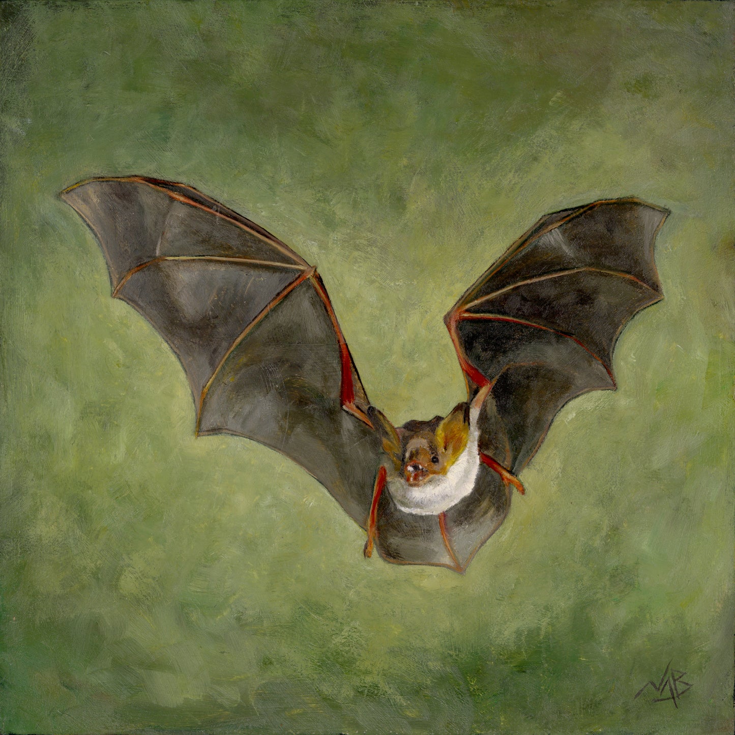 BAT // Oil Painting