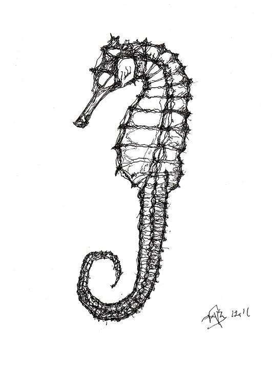 SEAHORSE // Pen & Ink