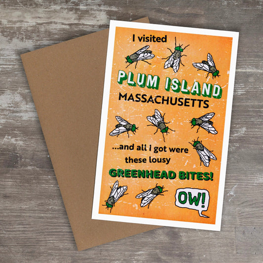 Greeting Card // PLUM ISLAND GREENHEADS (Massachusetts, Newburyport, Newbury, Salisbury, Merrimack River)